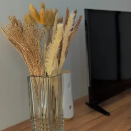 Casa 20 Cozy New In Near Border And Airports * Zvornik